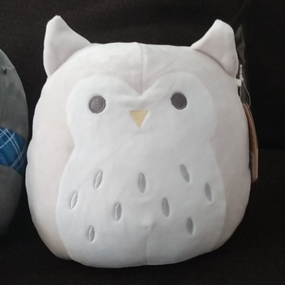 Squishmallows Accessories - RARE Jaxton squishmallow